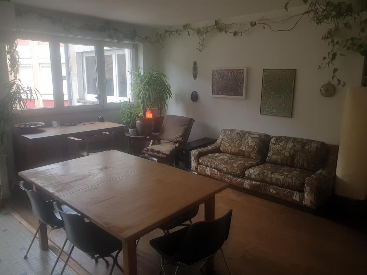 斯特拉斯堡La Puisatiere 80 M2公寓 外观 照片